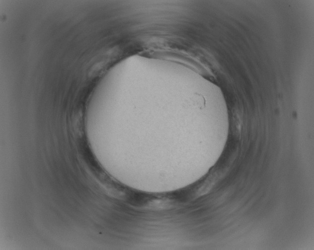 X0000078300364200612011840