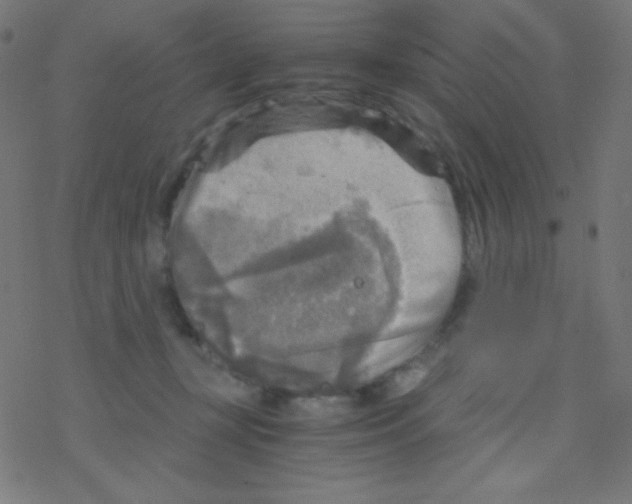 X0000078300367200612011840