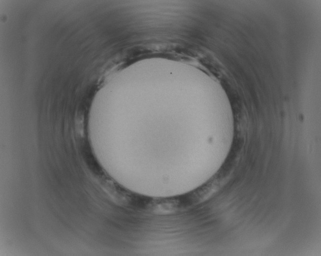 X0000078300368200612011840