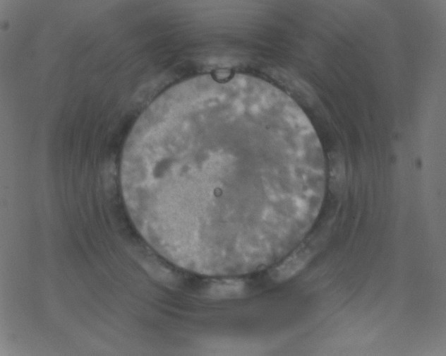 X0000078300369200612011840