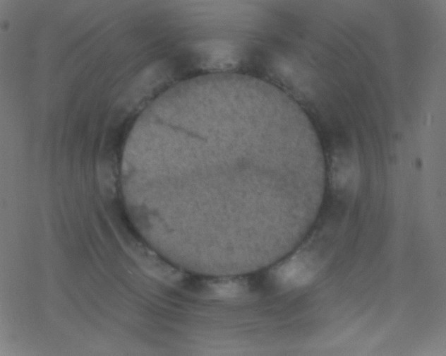 X0000078300370200612011840