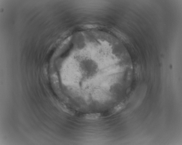 X0000078300373200612011840