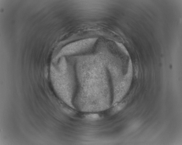 X0000078300374200612011840