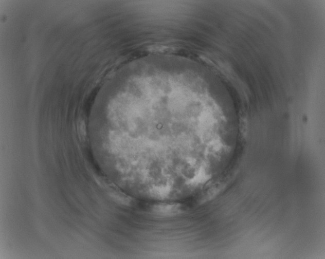 X0000078300375200612011840