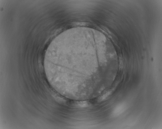 X0000078300377200612011840