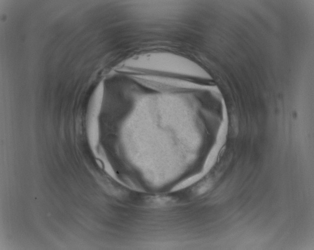 X0000078300379200612011841