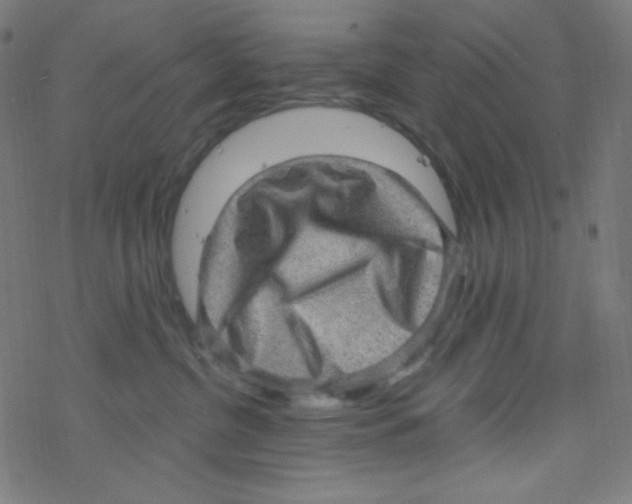 X0000078300380200612011841