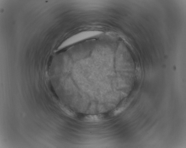 X0000078300381200612011841