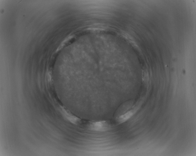 X0000078300382200612011841