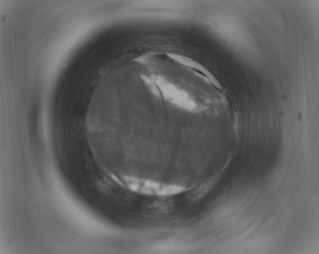 X0000078300383200612011841