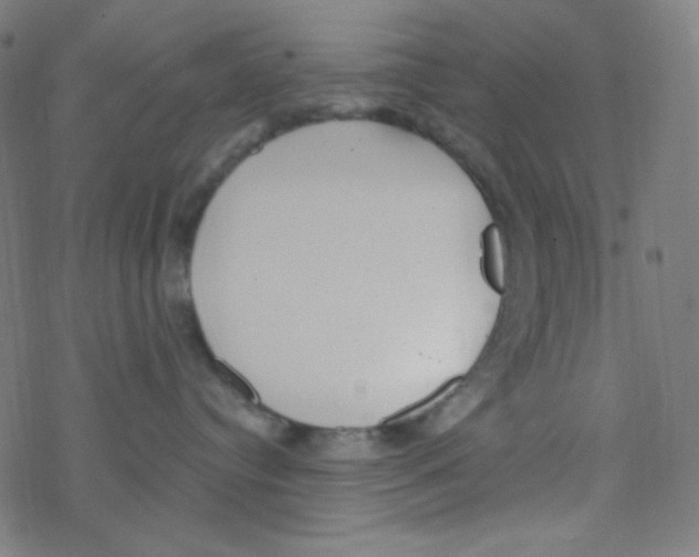 X0000078300384200612011841