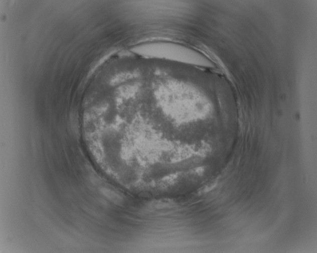 X0000078300386200612011840