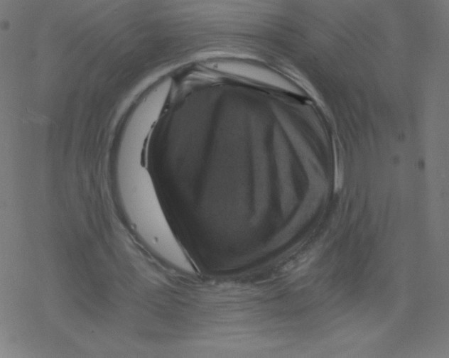 X0000078300387200612011840