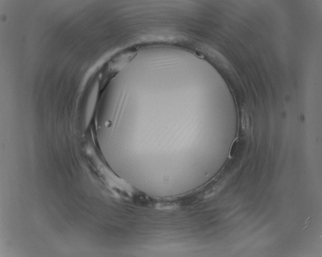 X0000078300388200612011840