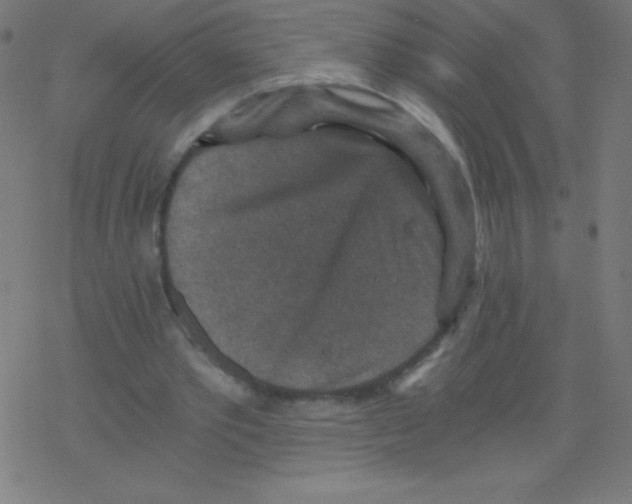 X0000078300389200612011840