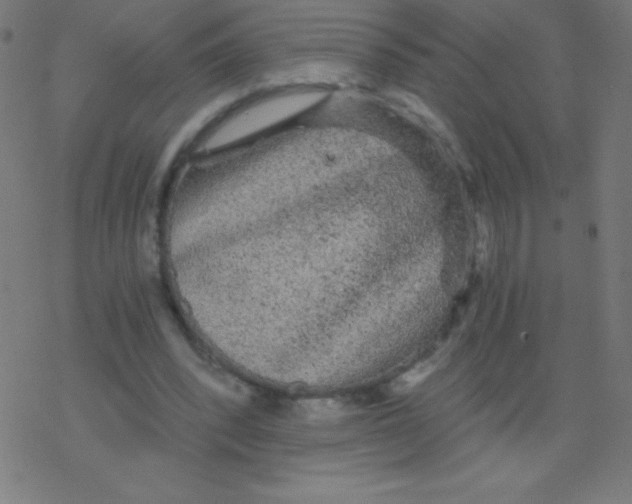 X0000078300392200612011840