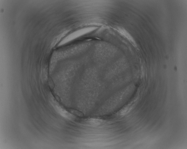 X0000078300393200612011840