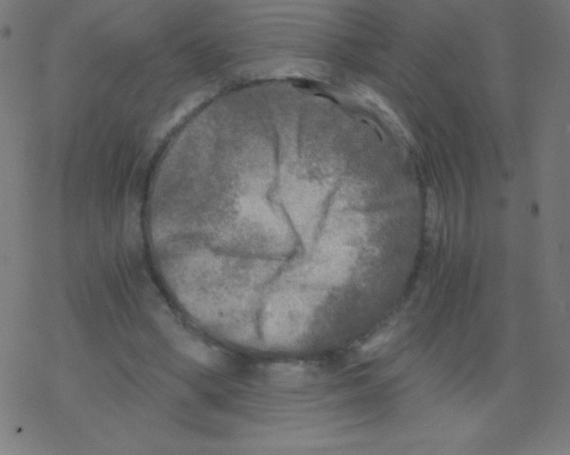 X0000078300394200612011840