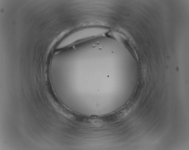 X0000078300395200612011840