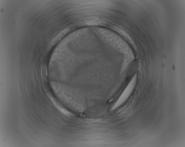 X0000078300397200612011840