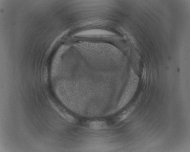 X0000078300400200612011840