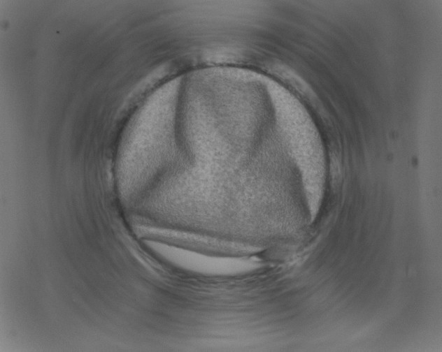 X0000078300401200612011840