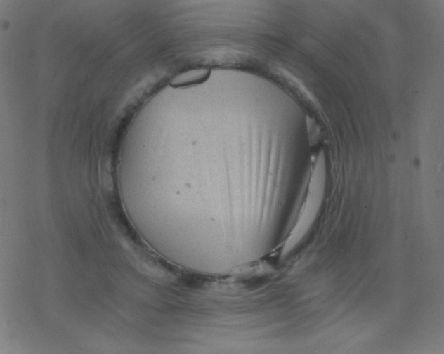 X0000078300403200612011840