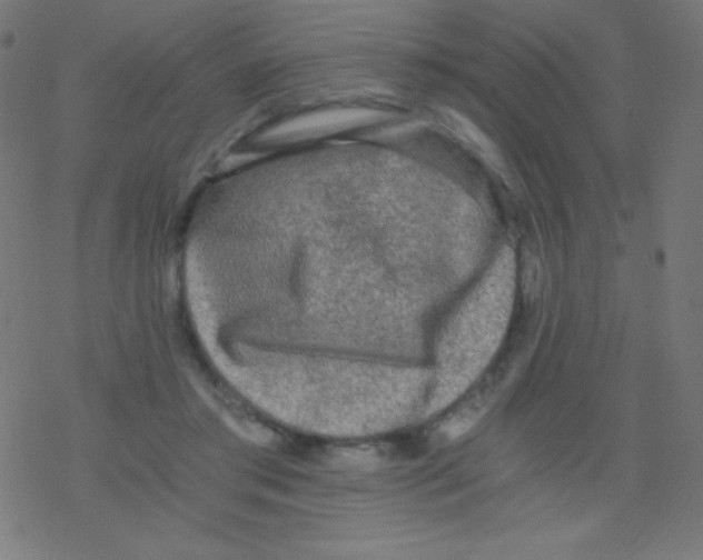 X0000078300405200612011839