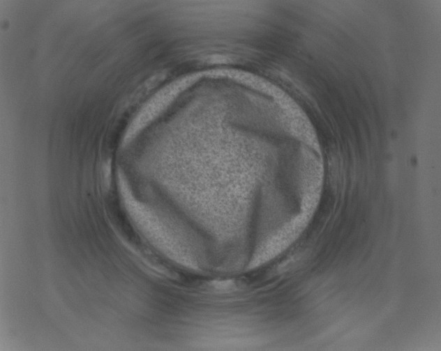 X0000078300406200612011839