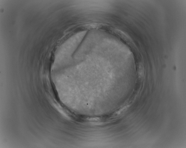 X0000078300409200612011839