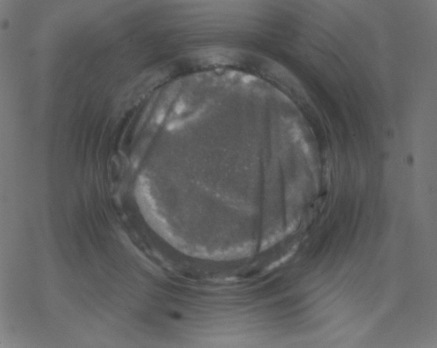 X0000078300410200612011839