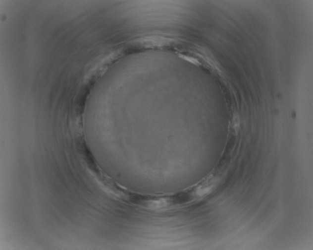 X0000078300411200612011839