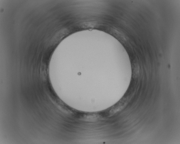 X0000078300414200612011839