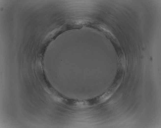 X0000078300415200612011839