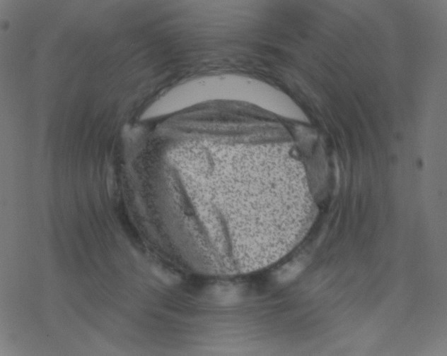 X0000078300416200612011839