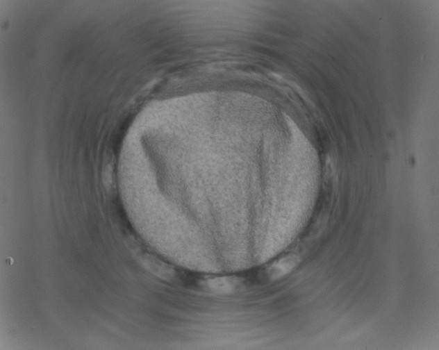 X0000078300417200612011839