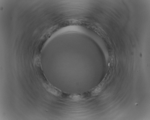 X0000078300419200612011839