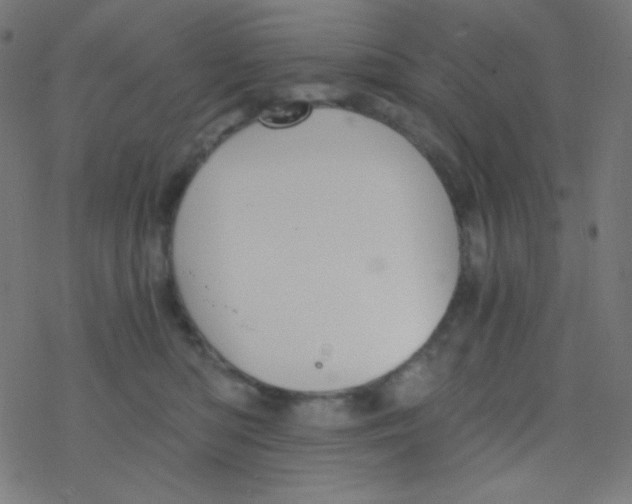 X0000078300422200612011839