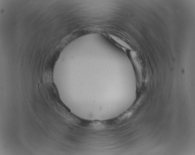 X0000078300425200612011839