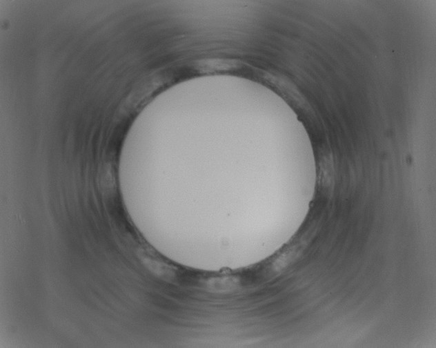 X0000078300426200612011839