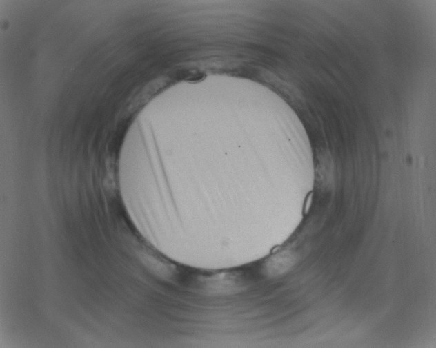 X0000078300430200612011839