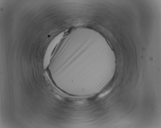 X0000078300432200612011839