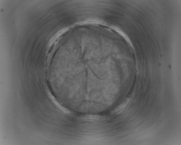 X0000078300437200612011838