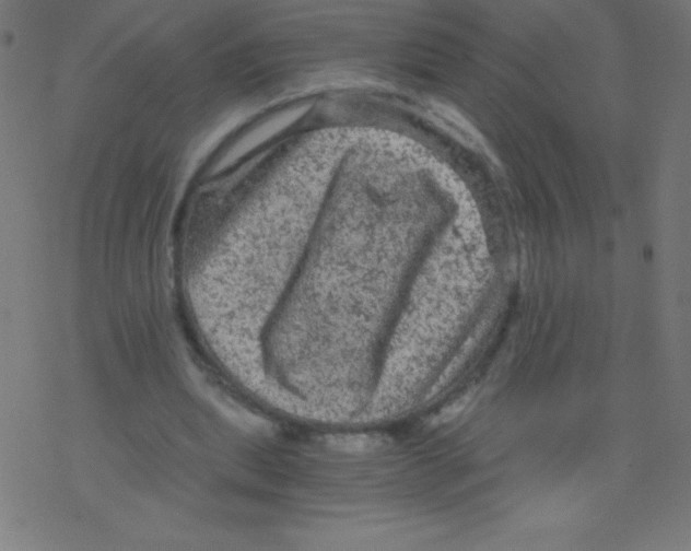 X0000078300439200612011838