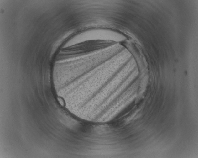 X0000078300446200612011839