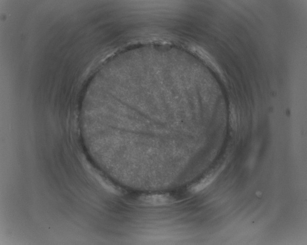 X0000078300449200612011839