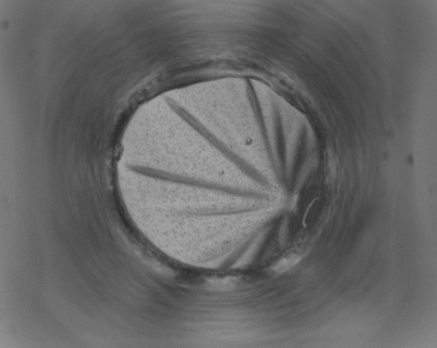 X0000078300450200612011839