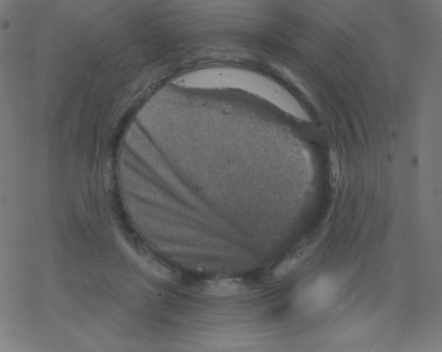 X0000078300451200612011839