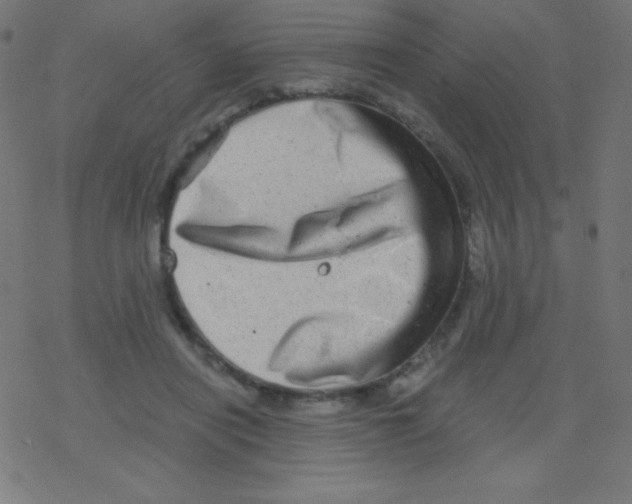 X0000078300454200612011839