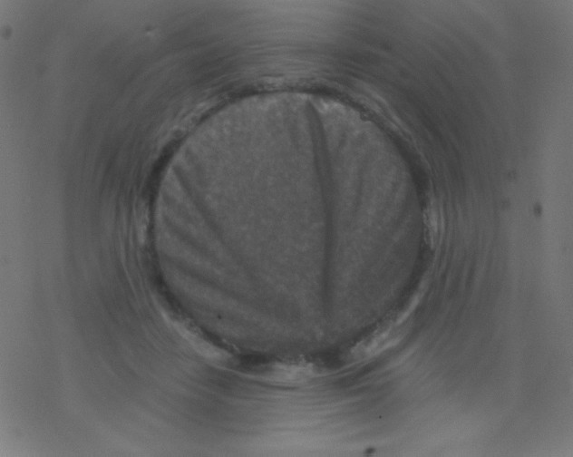 X0000078300458200612011839